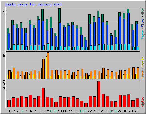 Daily usage for January 2025