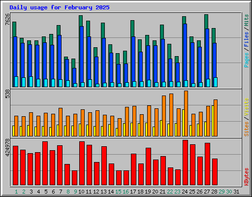 Daily usage for February 2025