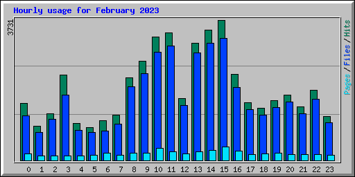 Hourly usage for February 2023