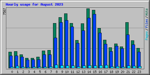 Hourly usage for August 2023