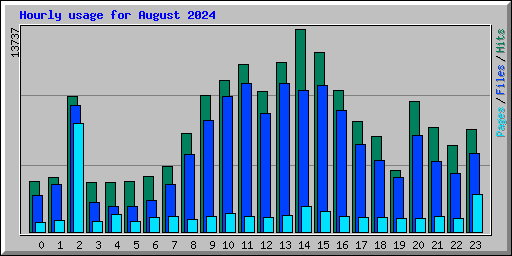 Hourly usage for August 2024