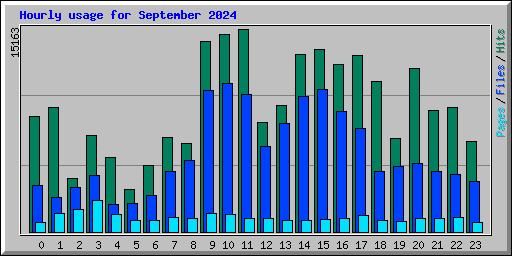 Hourly usage for September 2024