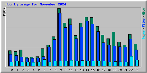 Hourly usage for November 2024