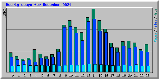 Hourly usage for December 2024