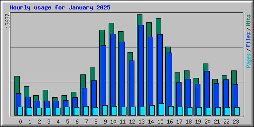 Hourly usage for January 2025