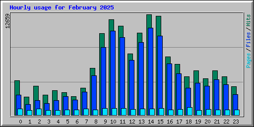 Hourly usage for February 2025