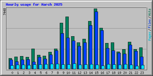 Hourly usage for March 2025