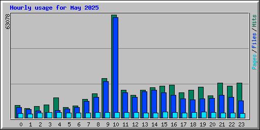 Hourly usage for May 2025