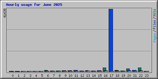 Hourly usage for June 2025