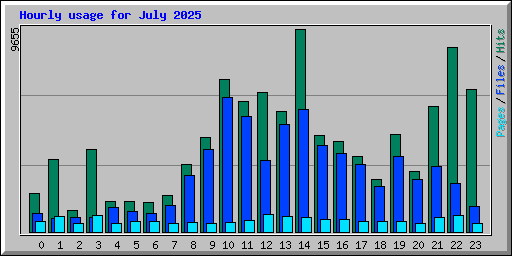 Hourly usage for July 2025