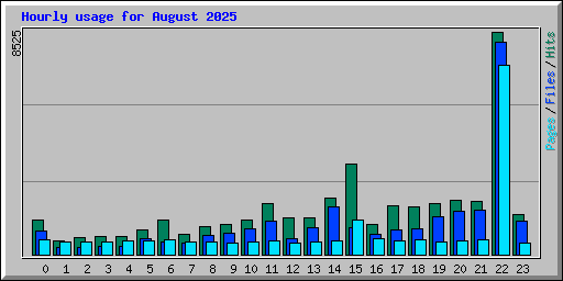 Hourly usage for August 2025