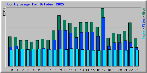 Hourly usage for October 2025