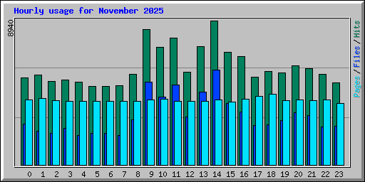 Hourly usage for November 2025