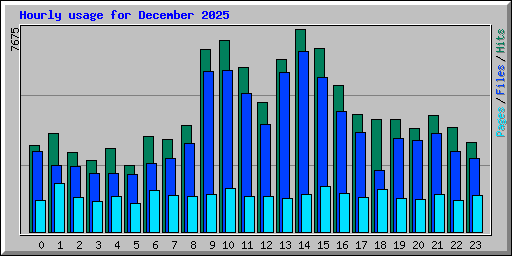 Hourly usage for December 2025